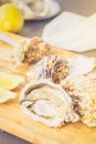 Raw oysters shells Royalty Free Stock Photo