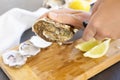 Raw oysters shells Royalty Free Stock Photo