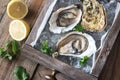 Raw oysters in the wooden box