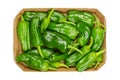 Raw Padron peppers, also called Herbon peppers, in a cardboard tray