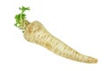 Raw parsley root isolated Royalty Free Stock Photo