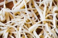 Raw pasta Royalty Free Stock Photo