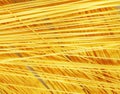 Raw pasta as whole background Royalty Free Stock Photo