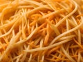 raw pasta background. top view