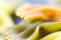 Raw pasta Royalty Free Stock Photo