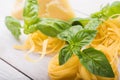 Raw pasta, green basil and chesse