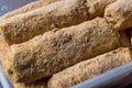 Raw Pastry with breadcrumbs / Chinese Egg Rolls Royalty Free Stock Photo