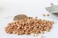 Raw peanut kernel on a white background Royalty Free Stock Photo