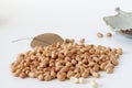 Raw peanut kernel on a white background