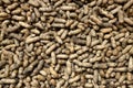 Raw peanuts background, texture. Health food Royalty Free Stock Photo