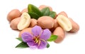 Raw peanuts and leaves on white background. Nutrition, nutrient.