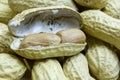 Raw peanuts in the shell Royalty Free Stock Photo