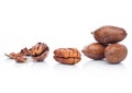 Raw pecans with shell on white background Royalty Free Stock Photo