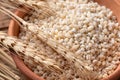 Raw peeled barley grains  (Hordeum vulgare Royalty Free Stock Photo