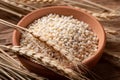 Raw peeled barley grains  (Hordeum vulgare Royalty Free Stock Photo