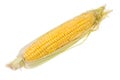 Raw peeled corn cob
