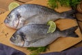 Raw peeled dorado fish with cooking ingredients. Fresh fish on a wooden background