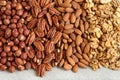 Raw peeled hazelnuts, pecans, almonds and walnuts on a linen cloth. Closeup. Macro Royalty Free Stock Photo