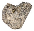 Raw peridotite stone isolated on white Royalty Free Stock Photo