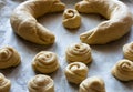 Raw pieces of buns dough before fermentation Royalty Free Stock Photo