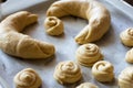 Raw pieces of buns dough before fermentation Royalty Free Stock Photo