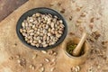 Raw pistachios in a bowl on the background surface, strewn with shells of nuts. Pistachio texture. Nuts. Royalty Free Stock Photo
