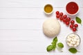 Raw pizza dough with baking pastry ingredients: mozzarella, tomatoes sauce, basil, olive oil, cheese, spices.