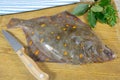 Raw plaice fish on a table Royalty Free Stock Photo