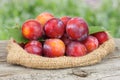 Raw Plum On Old Wooden Table With Green Background