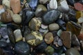 Raw but polished pieces of semi-precious natural stones - jaspers, agates, nephritis Royalty Free Stock Photo