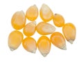 Raw popcorn isolated Royalty Free Stock Photo