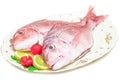 Raw porgy on white background