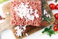 Raw pork and beef ground meat and vegetables. Royalty Free Stock Photo