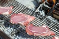 Raw pork chops Royalty Free Stock Photo