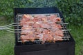 Raw pork is fried on a metal grill. Cooking barbecue on the green lawn. Royalty Free Stock Photo