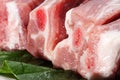 Raw pork ribs Royalty Free Stock Photo