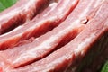 Raw pork ribs Royalty Free Stock Photo