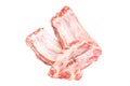 Raw pork ribs isolated with clipping path Royalty Free Stock Photo