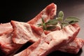 Raw pork ribs - raw meat Royalty Free Stock Photo