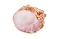 Raw pork sausages weisswurst on white background. Top view.