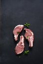 Raw pork steaks on a board with spices and basil on a dark background. Top view. Fresh meat. Ribs Royalty Free Stock Photo