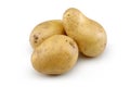 Raw Potato Royalty Free Stock Photo