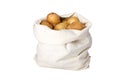 Raw potato in the linseed bag Royalty Free Stock Photo