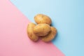 Raw potato tubers on a pink and blue background