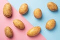 Raw potato tubers on a pink and blue background