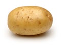 Raw potato Royalty Free Stock Photo