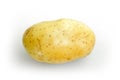 Raw potato on white texture