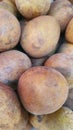 Raw Potatoe Rootcrop as Food Alternative Royalty Free Stock Photo