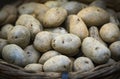 Raw potatoes in baskets on the market Royalty Free Stock Photo