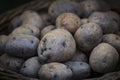 Raw potatoes in baskets on the market Royalty Free Stock Photo